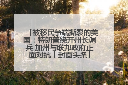 被移民争端撕裂的美国：特朗普绕开州长调兵 加州与联邦政府正面对抗丨封面头条