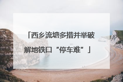 西乡流塘多措并举破解地铁口“停车难”