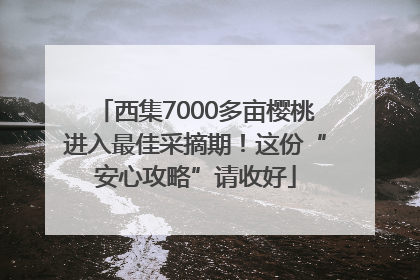 西集7000多亩樱桃进入最佳采摘期！这份“安心攻略”请收好