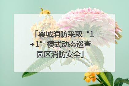 襄城消防采取“1+1”模式动态巡查园区消防安全
