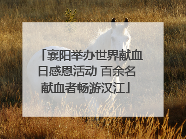 襄阳举办世界献血日感恩活动 百余名献血者畅游汉江