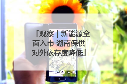 观察｜新能源全面入市 湖南保供对外依存度降低