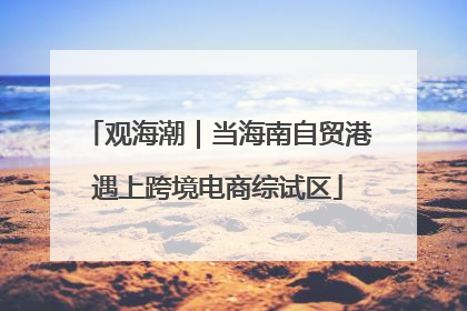 观海潮｜当海南自贸港遇上跨境电商综试区