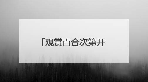 观赏百合次第开 农旅融合新样本 “胜日寻芳·花漾兰州”系列报道之七