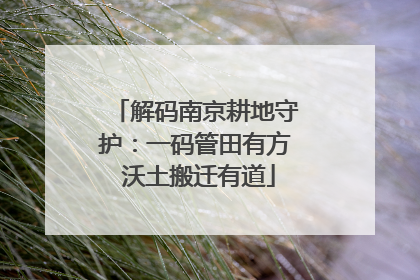 解码南京耕地守护：一码管田有方 沃土搬迁有道