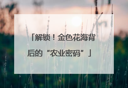 解锁！金色花海背后的“农业密码”