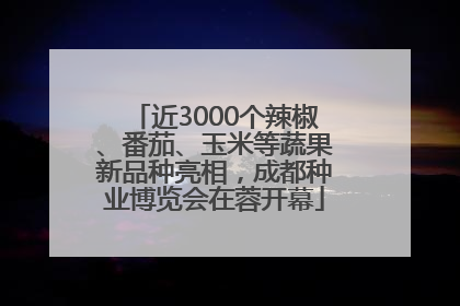 近3000个辣椒、番茄、玉米等蔬果新品种亮相，成都种业博览会在蓉开幕