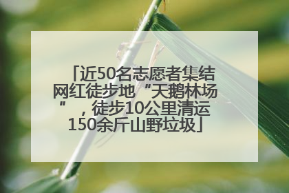 近50名志愿者集结网红徒步地“天鹅林场”，徒步10公里清运150余斤山野垃圾
