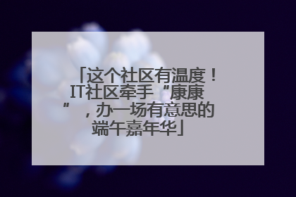 这个社区有温度！IT社区牵手“康康”，办一场有意思的端午嘉年华