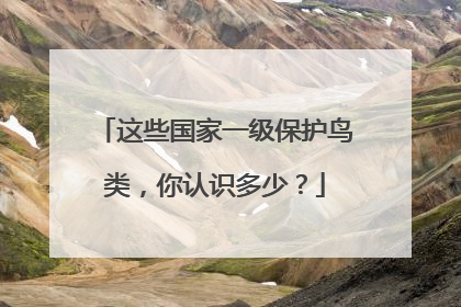这些国家一级保护鸟类，你认识多少？