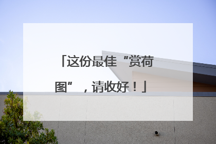 这份最佳“赏荷图”，请收好！