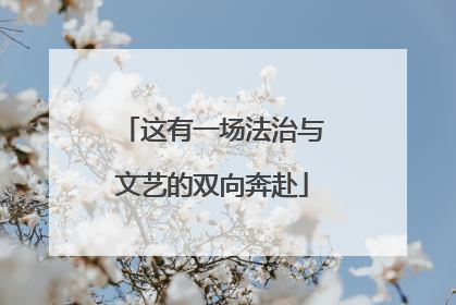 这有一场法治与文艺的双向奔赴