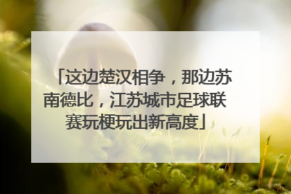 这边楚汉相争，那边苏南德比，江苏城市足球联赛玩梗玩出新高度