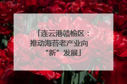 连云港赣榆区：推动海苔老产业向“新”发展