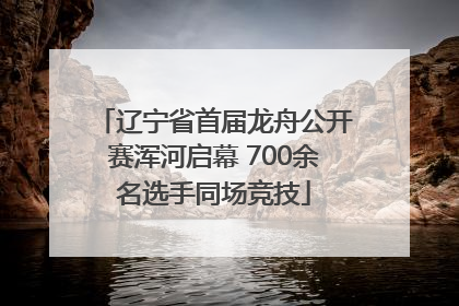 辽宁省首届龙舟公开赛浑河启幕 700余名选手同场竞技