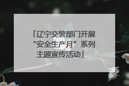 辽宁交警部门开展“安全生产月”系列主题宣传活动