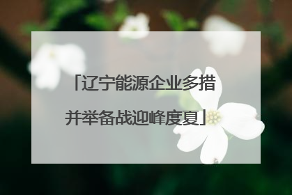 辽宁能源企业多措并举备战迎峰度夏