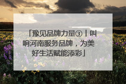 豫见品牌力量③丨叫响河南服务品牌，为美好生活赋能添彩