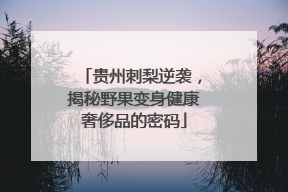 贵州刺梨逆袭，揭秘野果变身健康奢侈品的密码