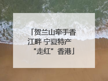 贺兰山牵手香江畔 宁夏特产“走红”香港