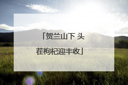贺兰山下 头茬枸杞迎丰收