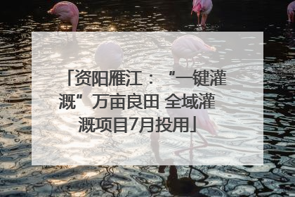 资阳雁江：“一键灌溉”万亩良田 全域灌溉项目7月投用