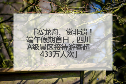 赛龙舟、赏非遗！端午假期首日，四川A级景区接待游客超433万人次