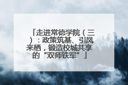走进常德学院（三）：政策筑基、引凤来栖，锻造校城共享的“双师铁军”