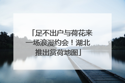 足不出户与荷花来一场浪漫约会！湖北推出赏荷地图