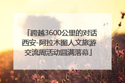 跨越3600公里的对话 西安-阿拉木图人文旅游交流周活动圆满落幕