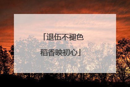 退伍不褪色 稻香映初心