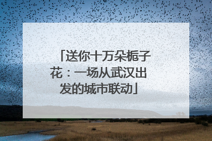 送你十万朵栀子花：一场从武汉出发的城市联动