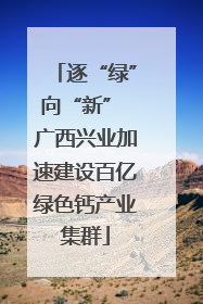 逐“绿”向“新” 广西兴业加速建设百亿绿色钙产业集群