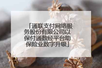 通联支付网络服务股份有限公司以保付通数经平台助保险业数字升级