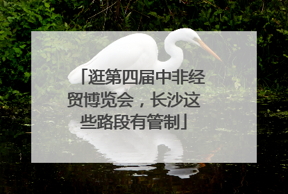 逛第四届中非经贸博览会，长沙这些路段有管制