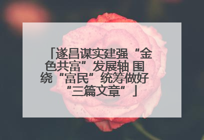 遂昌谋实建强“金色共富”发展轴 围绕“富民”统筹做好“三篇文章”