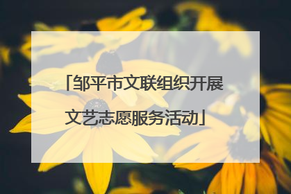 邹平市文联组织开展文艺志愿服务活动