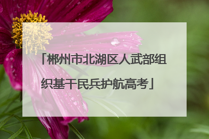 郴州市北湖区人武部组织基干民兵护航高考