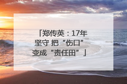 郑传英：17年坚守 把“伤口”变成“责任田”