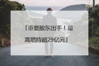 重要股东出手！最高增持超29亿元
