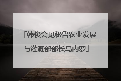 韩俊会见秘鲁农业发展与灌溉部部长马内罗