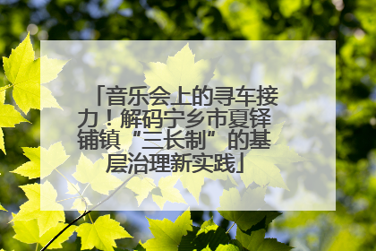 音乐会上的寻车接力！解码宁乡市夏铎铺镇“三长制”的基层治理新实践