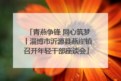 青燕争锋 同心筑梦丨淄博市沂源县燕崖镇召开年轻干部座谈会