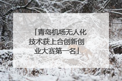 青岛机场无人化技术获上合创新创业大赛第一名