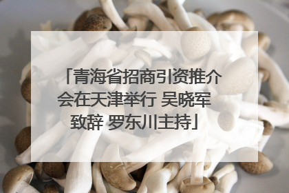 青海省招商引资推介会在天津举行 吴晓军致辞 罗东川主持