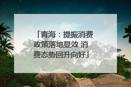 青海：提振消费政策落地显效 消费态势回升向好