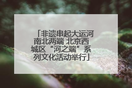 非遗串起大运河南北两端 北京西城区“河之端”系列文化活动举行