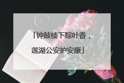 钟鼓楼下粽叶香，莲湖公安护安康