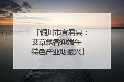 铜川市宜君县：艾草飘香迎端午 特色产业助振兴