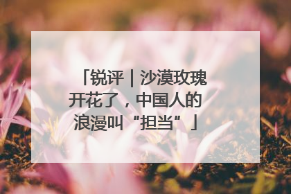 锐评｜沙漠玫瑰开花了，中国人的浪漫叫“担当”